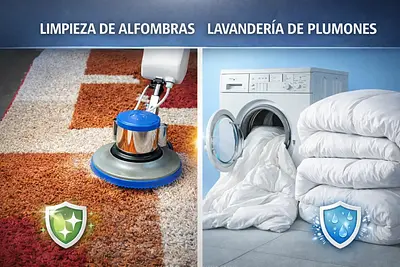 Servicios de limpieza Hogar