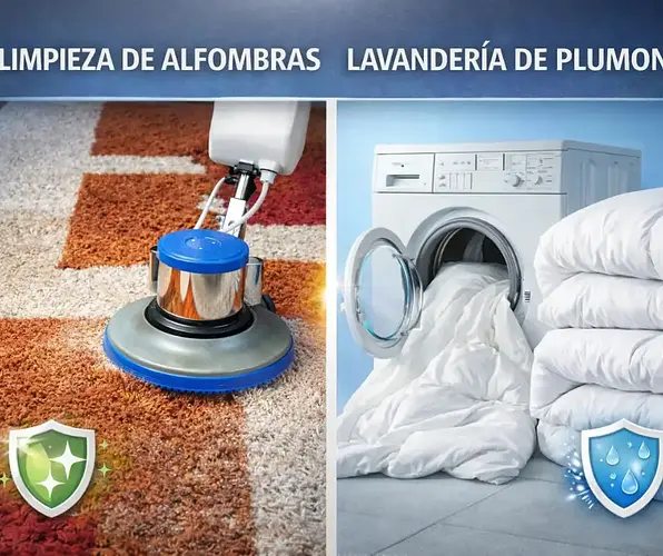 Servicios hogar,  Limpieza de Alfombras / Lavanderia de plumones